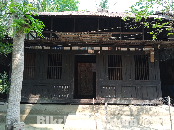 কাঠের দোতলা বাড়ি